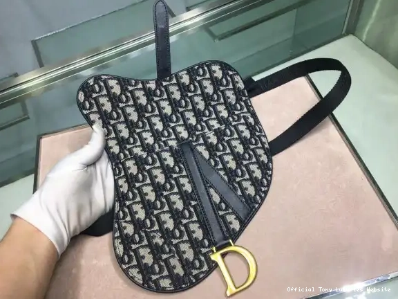 Tony Luxuries OBLIQUE BELT BAG diro 0616